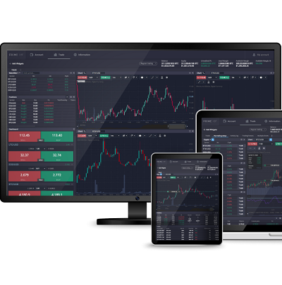 Comprehensive Insights into Risk Management in PrimeXBT Forex Comprehensive Insights into Risk Management in PrimeXBT Forex