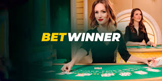 Discovering the Excitement of BetWinner in South Africa