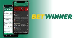 Discovering the Excitement of BetWinner in South Africa
