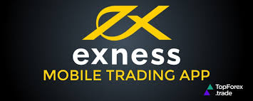 Master Your Trades with the Exness Trading Calculator