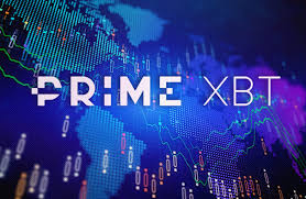 Step-by-Step Investing on PrimeXBT - Your Ultimate Guide